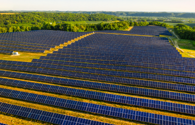 Local Climate Action Petition for Carbon Neutrality